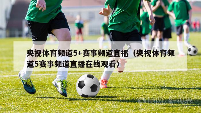 央视体育频道5+赛事频道直播（央视体育频道5赛事频道直播在线观看）