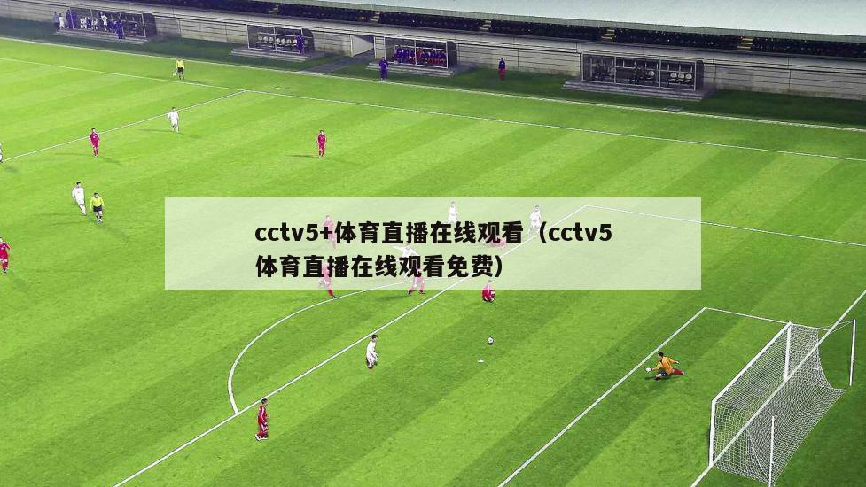 cctv5+体育直播在线观看（cctv5体育直播在线观看免费）