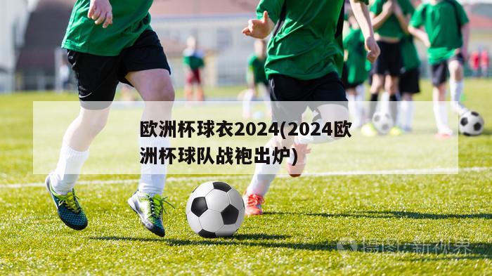 欧洲杯球衣2024(2024欧洲杯球队战袍出炉)