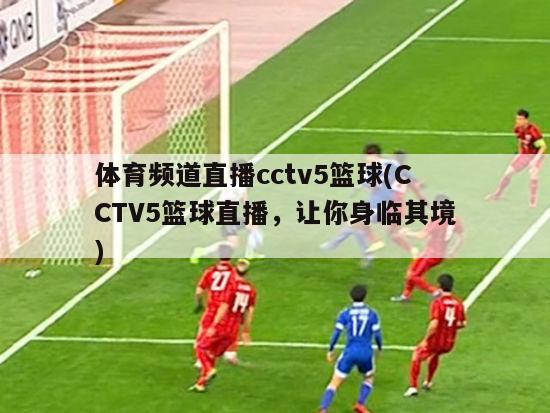 体育频道直播cctv5篮球(CCTV5篮球直播，让你身临其境)
