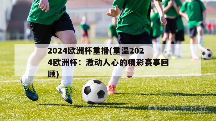 2024欧洲杯重播(重温2024欧洲杯：激动人心的精彩赛事回顾)