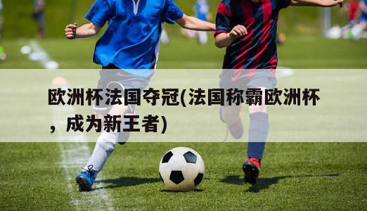 欧洲杯法国夺冠(法国称霸欧洲杯，成为新王者)